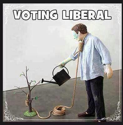 Voting-Liberal-Hanging