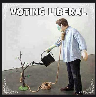 voting liberal